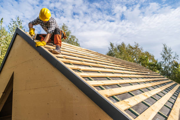 Best Roof Gutter Cleaning  in Davis, CA