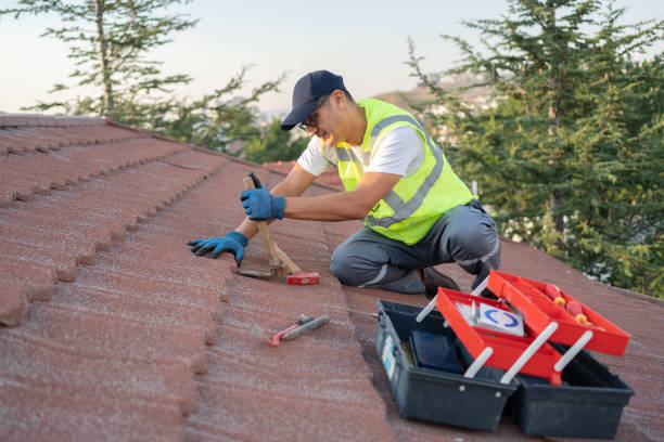 Best Roof Maintenance Services  in Davis, CA